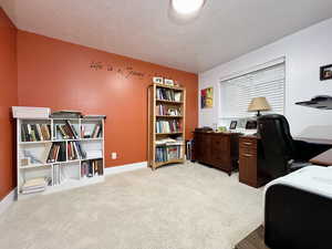 Office area with light carpet and a textured ceiling