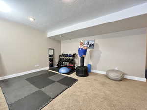Exercise room featuring a textured ceiling and carpet flooring