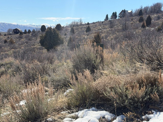 View of nature