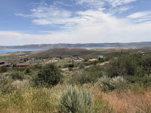 Lake view