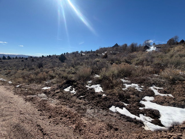 View of undeveloped land