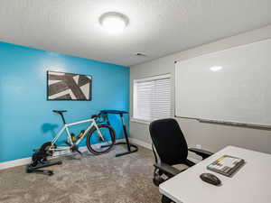 Bedroom or office space with closet, blinds and carpet