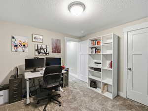 Bedroom or office space with closet, blinds and carpet