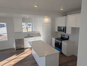 Kitchen with stainless steel appliances, white cabinetry, light countertops, dark wood finished floors, and recessed lighting