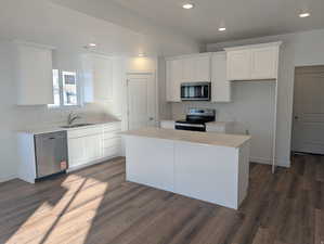 Kitchen featuring white cabinetry, stainless steel appliances, light countertops, and recessed lighting