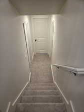 Staircase with carpet