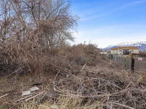 View of undeveloped land featuring a mountain backdrop