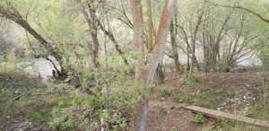 View of undeveloped land