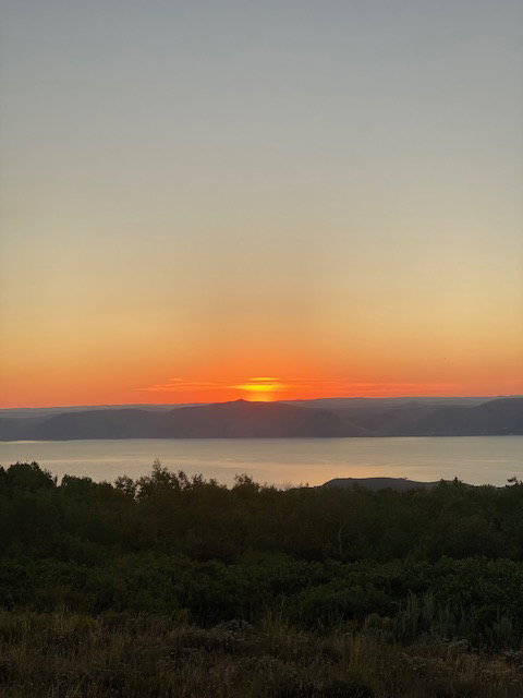 View of nature at dusk