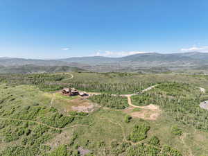 Drone / aerial view of a mountainous background and a forest