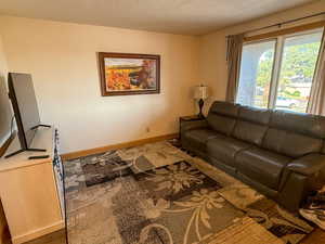 Living area featuring baseboards and a textured ceiling