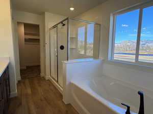 Bathroom featuring a walk in closet, a stall shower, a garden tub, a mountain view, and vanity