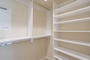 View of walk in closet with organizers
