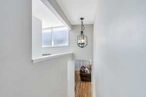 Detailed view of hanging lights