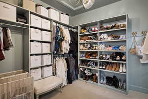 Walk in closet featuring light carpet