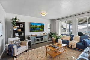 Living room featuring dark colored carpet and a textured ceiling