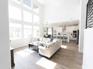 Living area featuring light wood finished floors, healthy amount of natural light, and a high ceiling