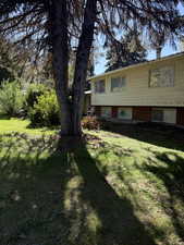 View of grassy yard