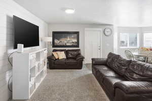 Living area with carpet