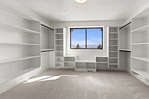 Walk in closet featuring light colored carpet