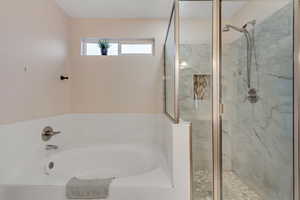 Primary bathroom with a stall shower and a bath