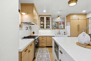 Kitchen featuring stainless steel appliances, light wood finish cabinetry, light stone countertops, light wood-type flooring, and glass fronted cabinets