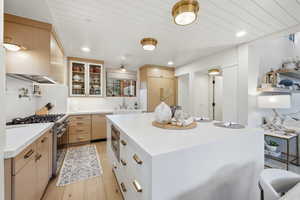 Kitchen with a kitchen island, stainless steel appliances, light wood-style flooring, glass fronted cabinets, and recessed lighting