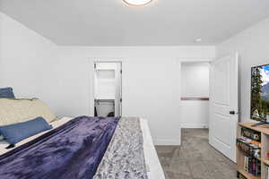Bedroom featuring light carpet and a spacious closet