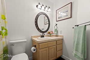 Full bathroom with vanity, a shower with curtain, and a textured wall
