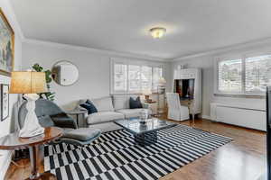 Living room featuring crown molding and hardwood / wood-style floors