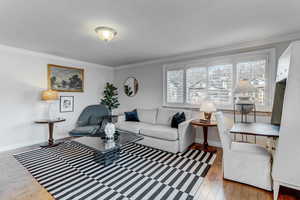 Living area with ornamental molding and light wood finished floors