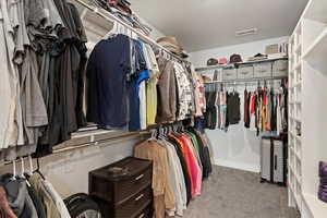 Walk in closet featuring light carpet