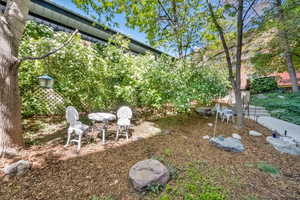 View of yard and walk way