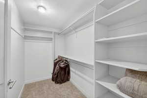 Walk in closet with light colored carpet