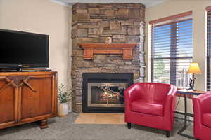 Carpeted living room featuring ornamental molding, a baseboard radiator, and a stone fireplace