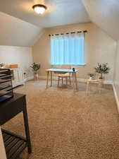 Office with a textured ceiling and light colored carpet