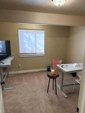 Office area with light carpet and a textured ceiling