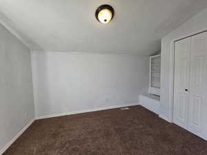 Additional living space featuring dark carpet and built in shelves