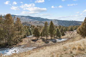 View of mountain background