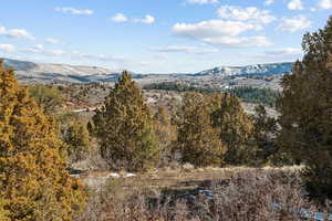 View of mountain backdrop with a heavily wooded area