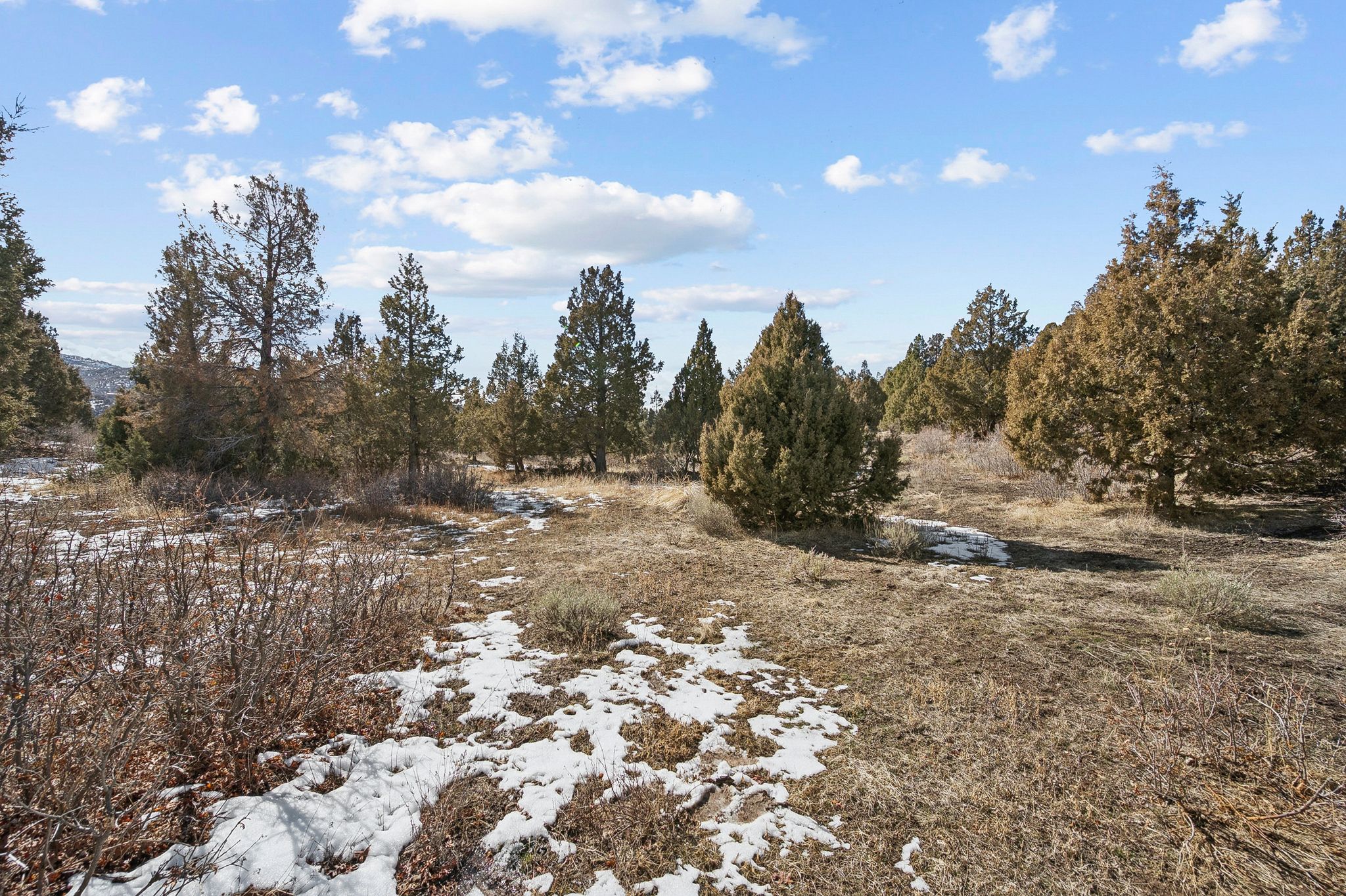View of local wilderness