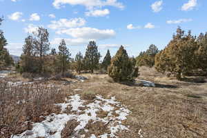 View of local wilderness