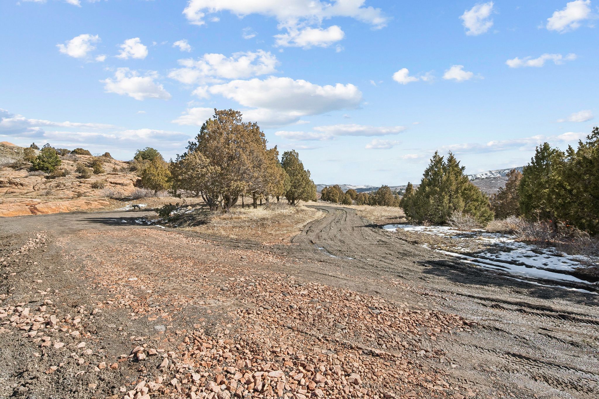 View of local wilderness