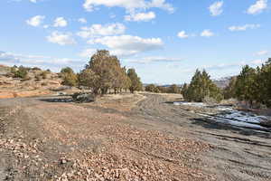 View of local wilderness