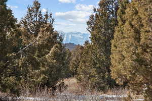 View of mountain background