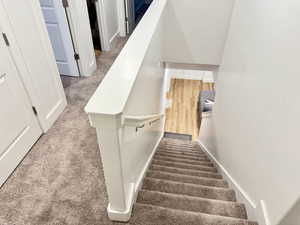 Stairs with carpet and baseboards