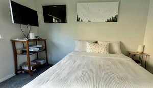 Bedroom with baseboards and dark carpet