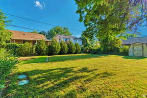 View of grassy yard featuring a storage shed
