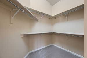 Walk in closet with carpet flooring