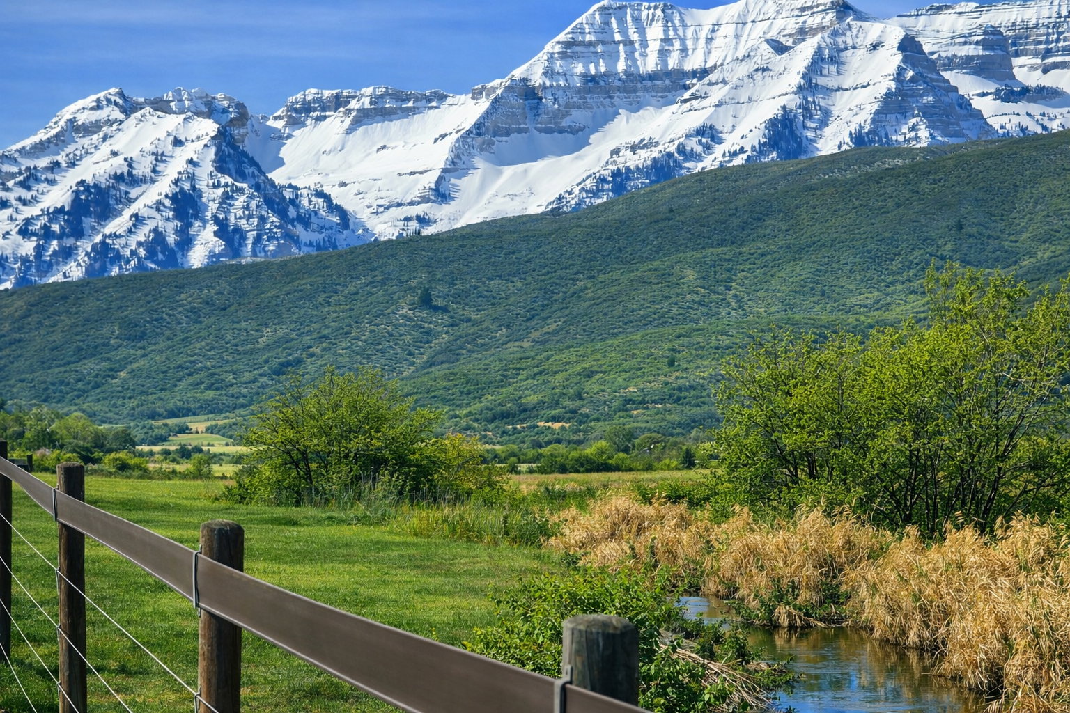 Photo of Mount Timpanogos and Provo river bottom looking southwest from the back fenceline of the property